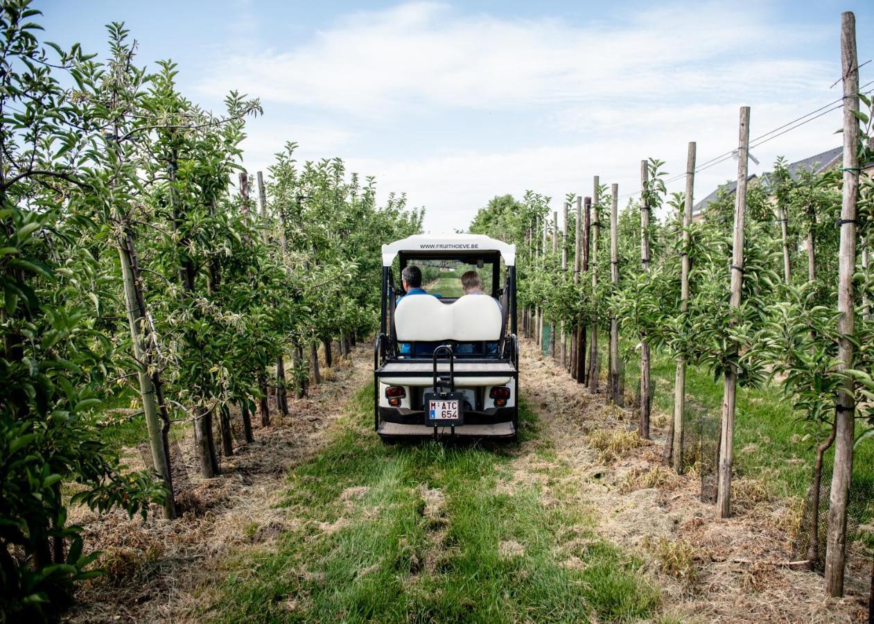 B&B De Fruithoeve Hoeselt Bagian luar foto